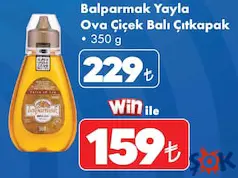 BALPARMAK YAYLA OVA ÇİÇEK BALI ÇITKAPAK 350 G